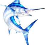 Oceanic Wonders Collection