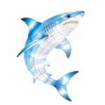 Oceanic Wonders Collection
