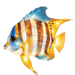 Oceanic Wonders Collection