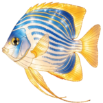 Oceanic Wonders Collection