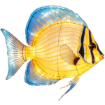 Oceanic Wonders Collection