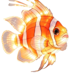 Oceanic Wonders Collection