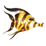 Oceanic Wonders Collection