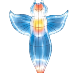 Oceanic Wonders Collection