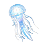 Oceanic Wonders Collection