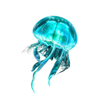 Oceanic Wonders Collection