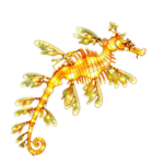 Oceanic Wonders Collection