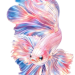 Oceanic Wonders Collection