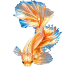 Oceanic Wonders Collection