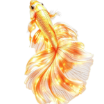 Oceanic Wonders Collection