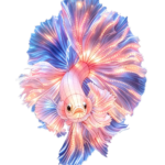 Oceanic Wonders Collection