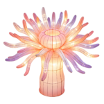 Oceanic Wonders Collection