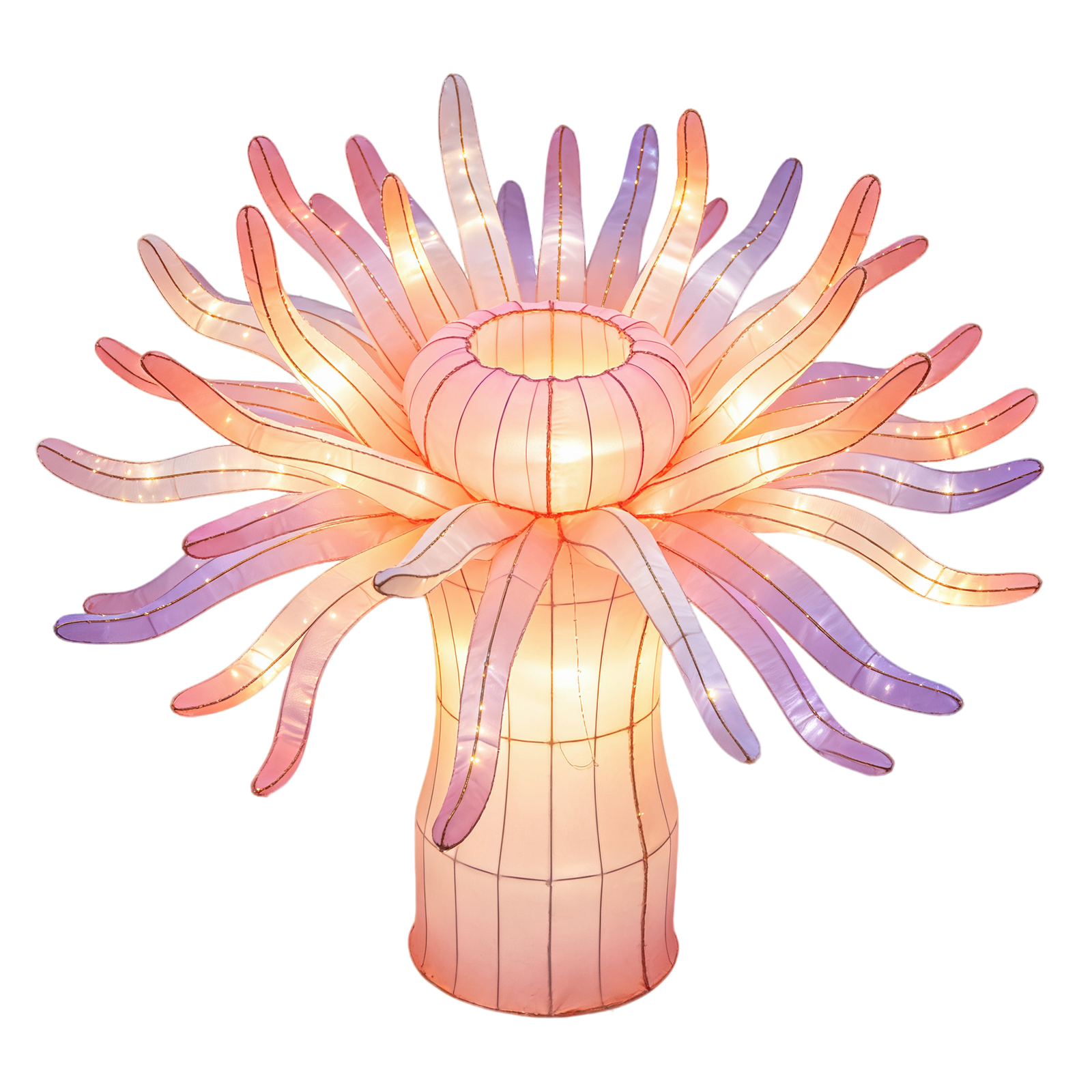 Oceanic Wonders Collection