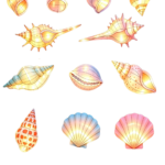 Oceanic Wonders Collection